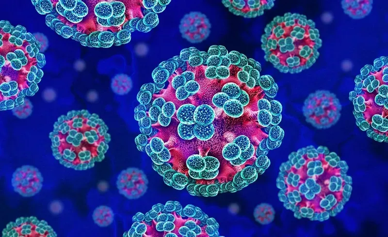 WHO: Hantavirus đã được kiểm soát nhưng vẫn cần nâng cao cảnh giác