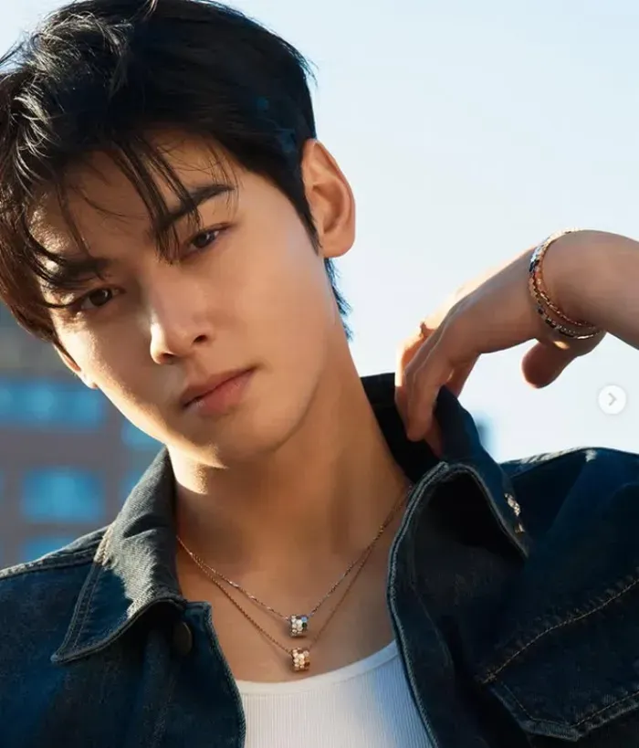 Cha Eun-woo đối diện cáo buộc trốn thuế 20 tỷ won Cha Eun-woo đối diện cáo buộc trốn thuế 20 tỷ won