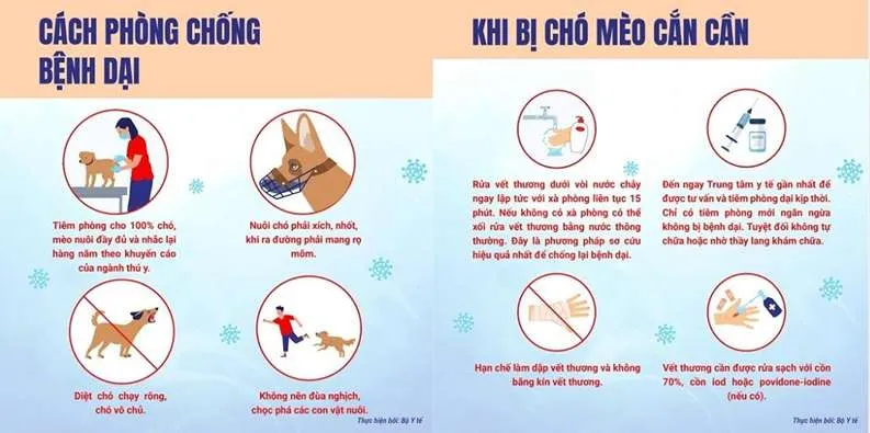 Việt Nam: Nhiều ca tử vong do bệnh dại vì chủ quan không tiêm vaccine