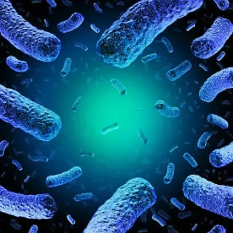 Hoa Kỳ: Sản phẩm chứa rau nhiễm khuẩn listeria bị thu hồi, USDA cảnh báo khẩn