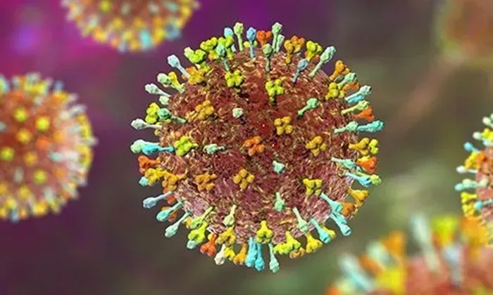 indonesia-singapore-quet-than-nhiet-tai-san-bay-phong-virus-nipah-xam-nhap-2.webp Indonesia, Singapore quét thân nhiệt tại sân bay phòng virus Nipah xâm nhập