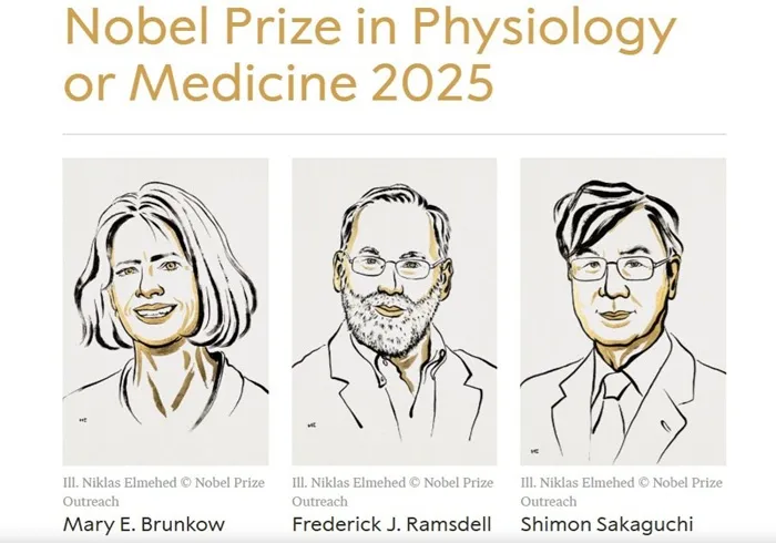 Nghiên cứu về miễn dịch đoạt giải Nobel Y sinh năm 2025