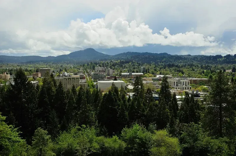 Trump chỉ đạo DHS không xử lý biểu tình ở thành phố do DP điều hành Trump chỉ đạo DHS không xử lý biểu tình ở thành phố do DP điều hành