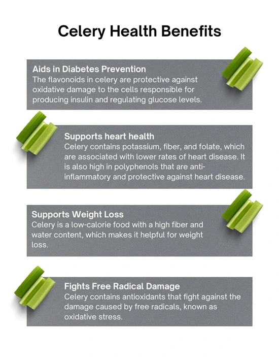 can_tay_loai_rau_duoc_vi_nhu_than_duoc_cua_gan (3).webp Cần tây - Loại rau được ví như “thần dược” của gan