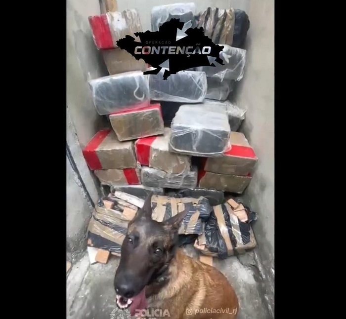 Hơn 100 người thiệt mạng trong chiến dịch truy quét tội phạm ở Brazil