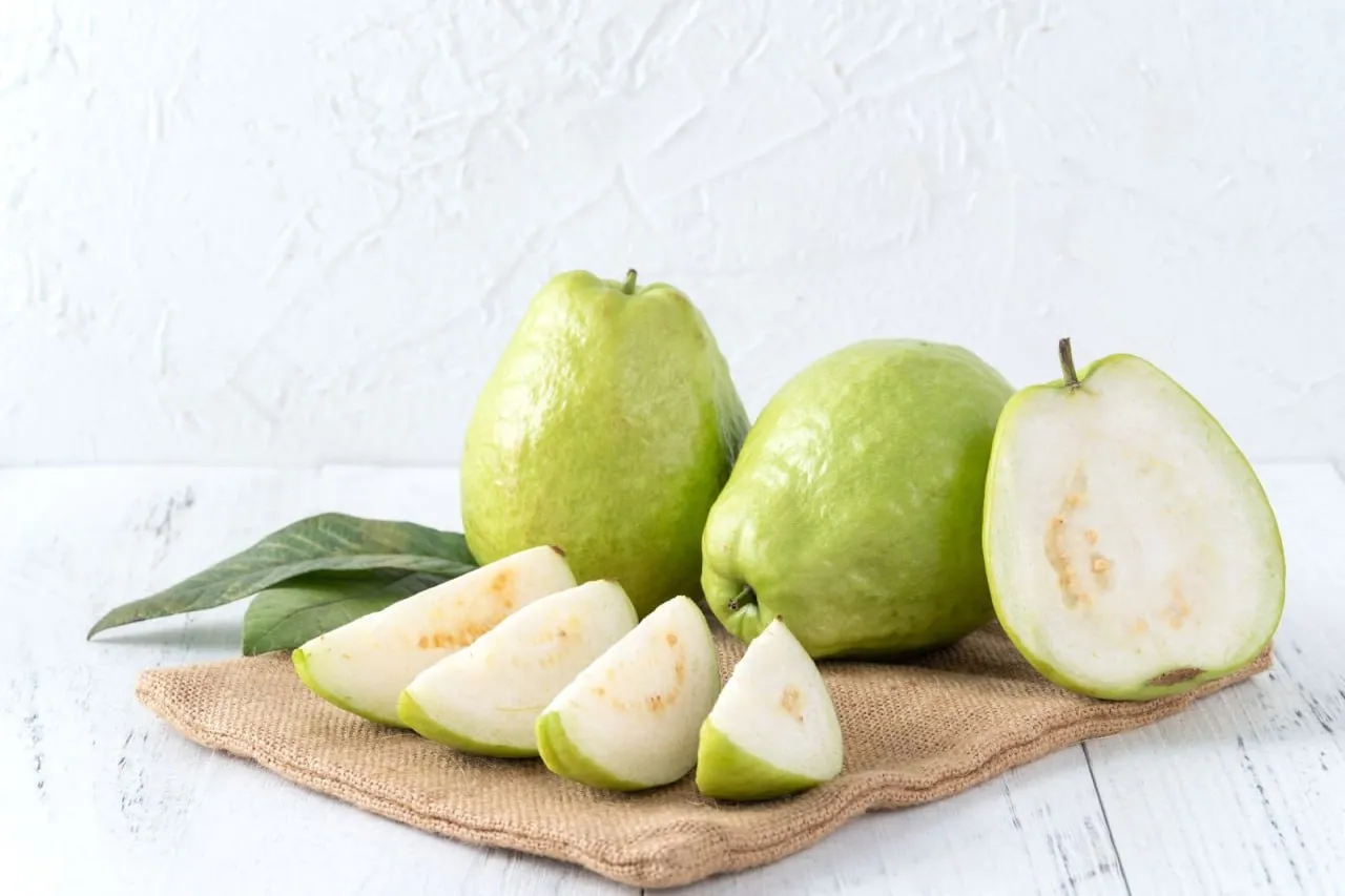Khám phá lợi ích tuyệt vời của quả ổi cho sức khỏe Khám phá lợi ích tuyệt vời của quả ổi cho sức khỏe