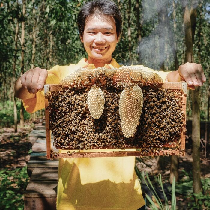 Phát triển nghề nuôi ong kết hợp bảo vệ môi trường Phát triển nghề nuôi ong kết hợp bảo vệ môi trường